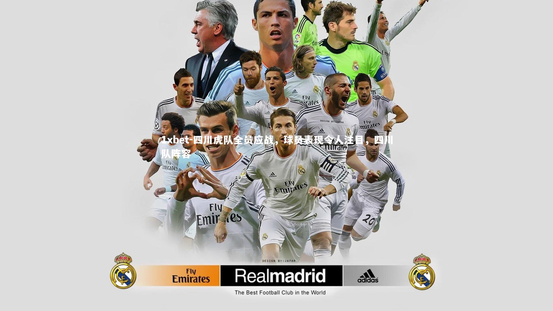 四川虎队全员应战，球员表现令人注目，四川队阵容